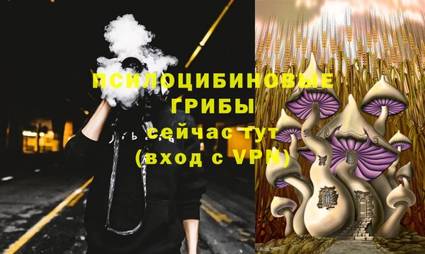 винт Ладушкин