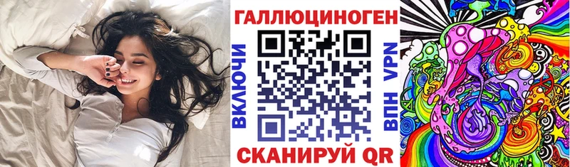 Купить где Кремёнки Псилоцибиновые грибы мицелий